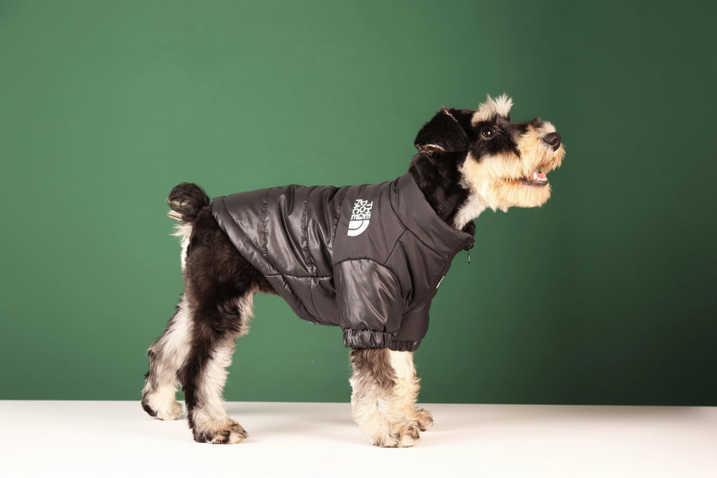 NorthPaw™ - Cappotto impermeabile streetwear per cani