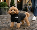 NorthPaw™ - Cappotto impermeabile streetwear per cani