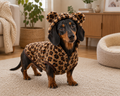 LeoPaw™ - Cappotto impermeabile premium per cani
